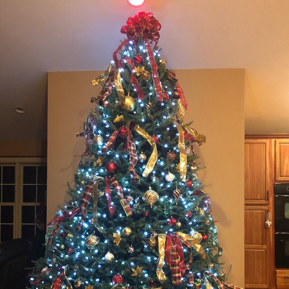 Meet your Posher, Angie